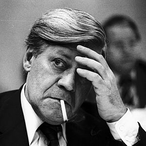 Helmut Schmidt, 1980